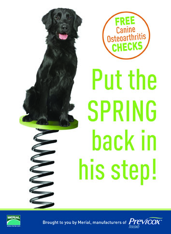 OA spring postcard